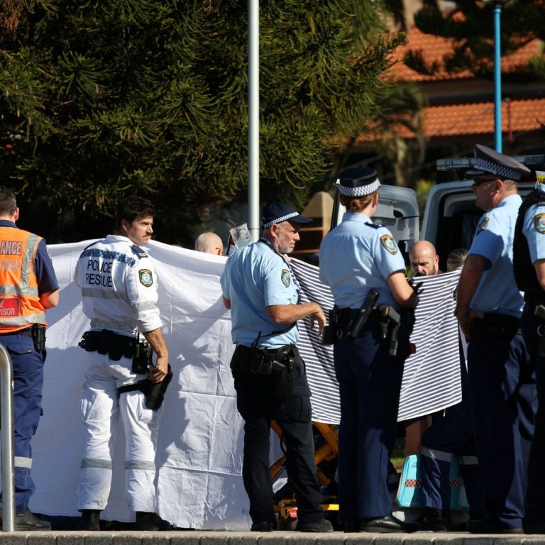 skynews-australia-shark_7272185.jpg