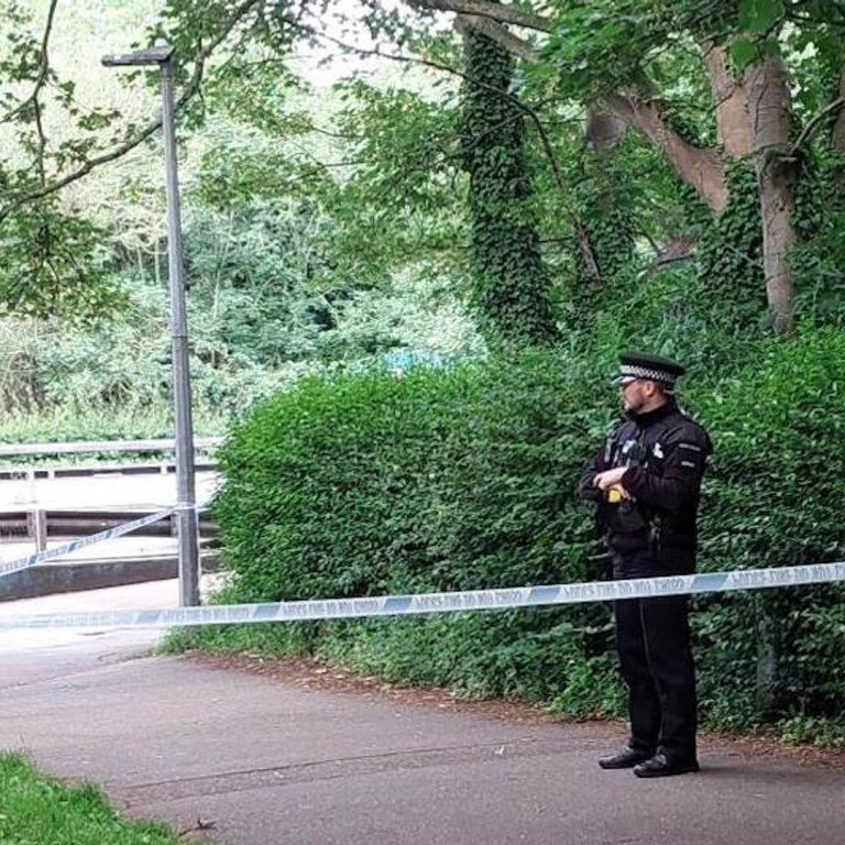 skynews-chelmsford-murder_7272243.jpg